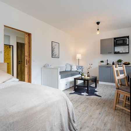Vlevo Dole Koko Apartment By Sprava Ubytka Rokytnice nad Jizerou Esterno foto