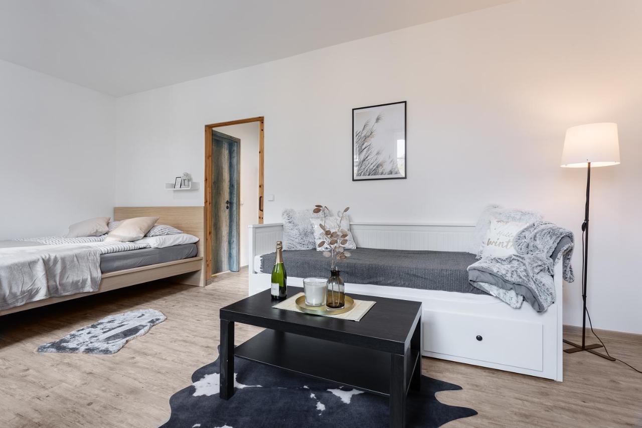Vlevo Dole Koko Apartment By Sprava Ubytka Rokytnice nad Jizerou Esterno foto